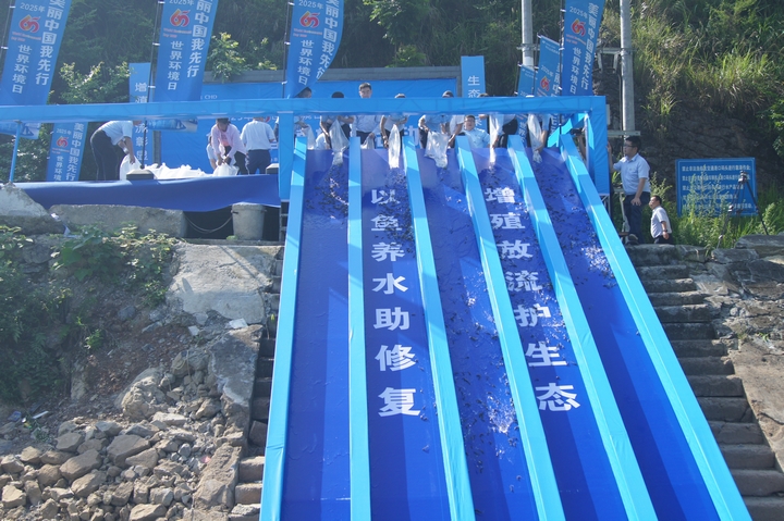 思林发电厂库区放流现场。